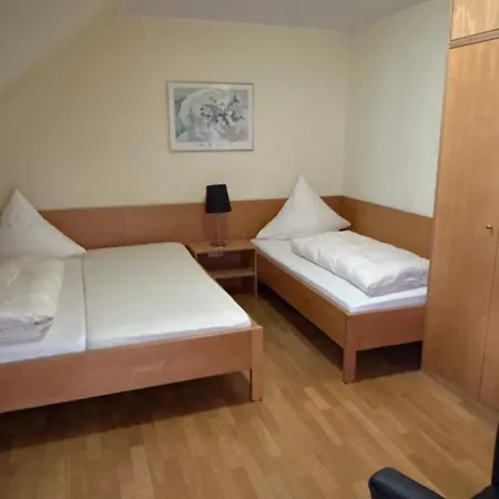 Hotel-restaurant Jaegerhof 2* Reinsfeld