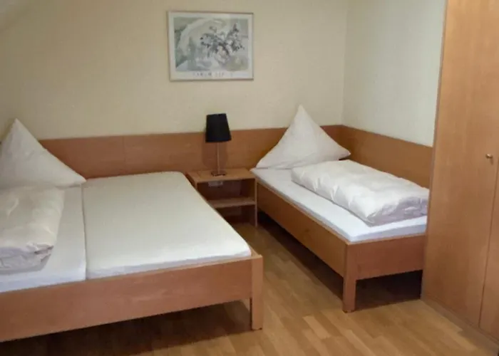 Hotel-restaurant Jaegerhof 2* Reinsfeld